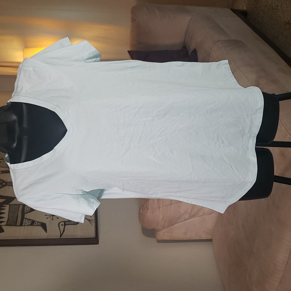 Banana Republic light blue Signature Collection t-shirt